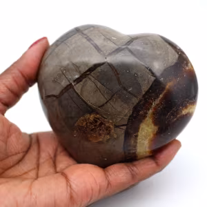 Coeur en septaria
