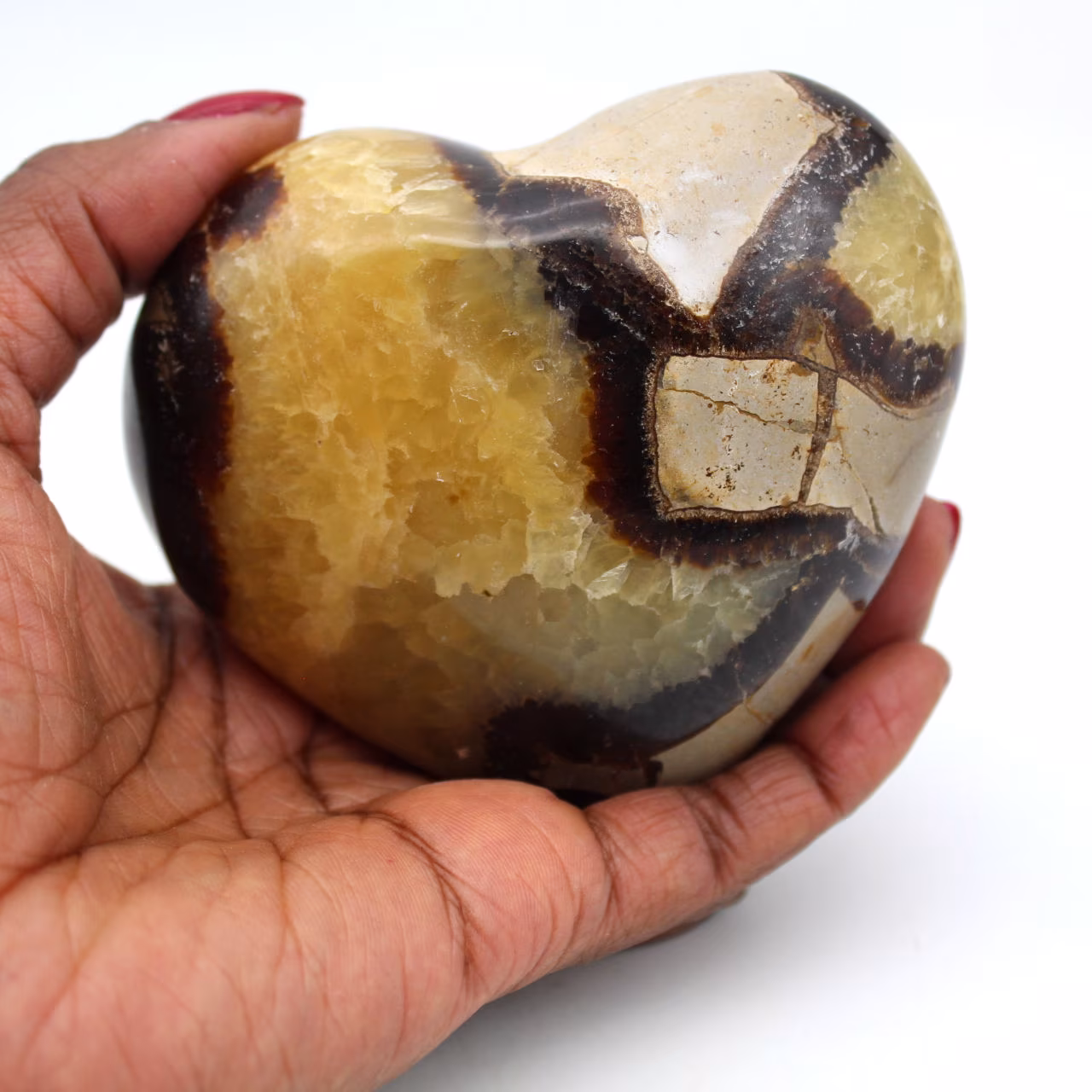 Coeur en septaria