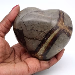 Coeur en septaria