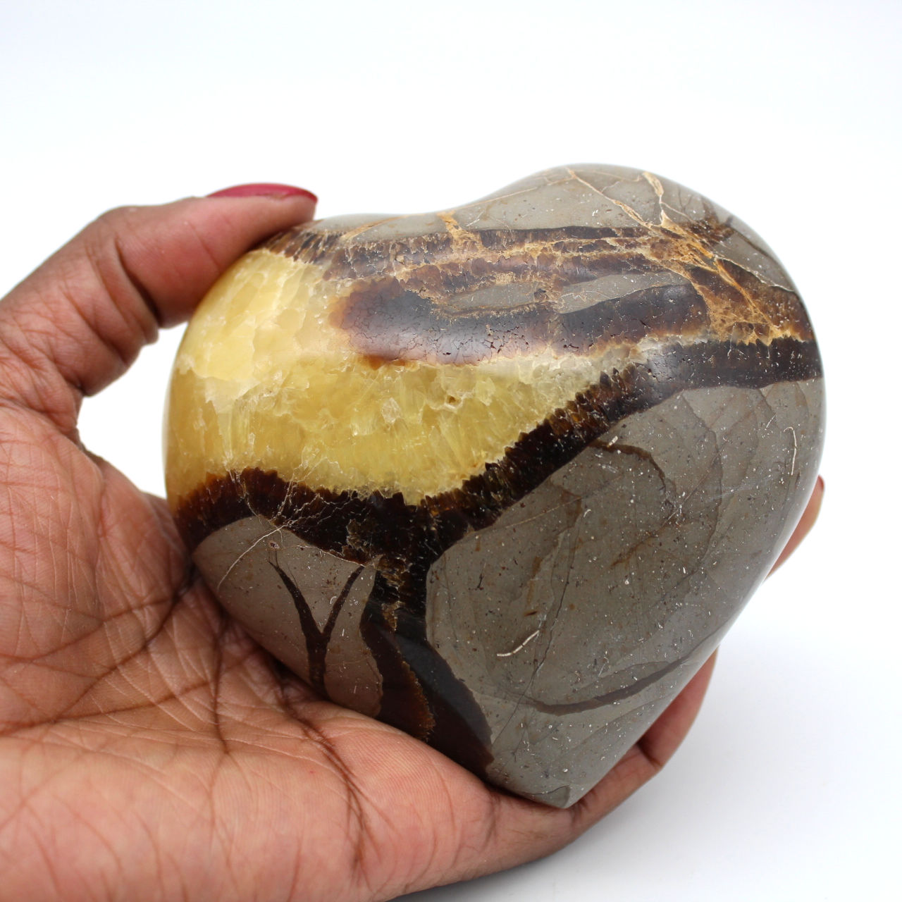 Coeur en septaria
