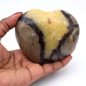 Coeur en septaria