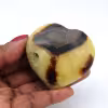 Coeur en septaria
