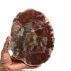 Bois fossilisé polis de madagascar - 0