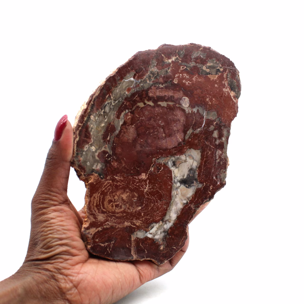 Tranche de bois silicifié de madagascar