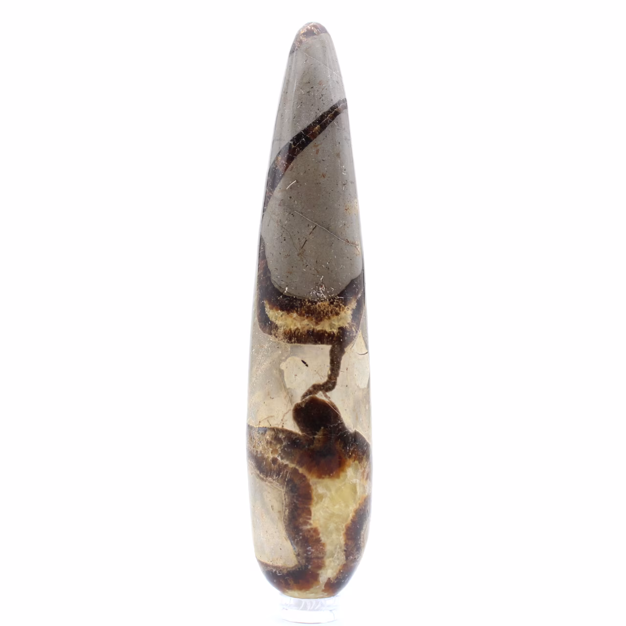 Baton en Septaria naturel