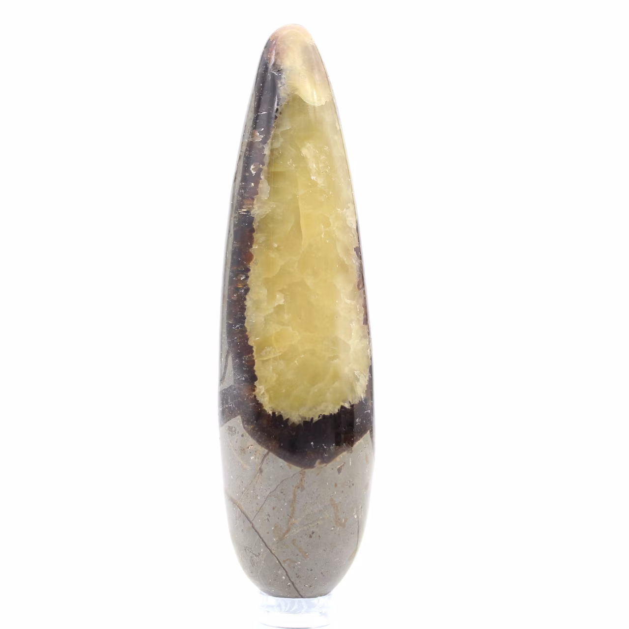 Pierre de Septaria baton de massage