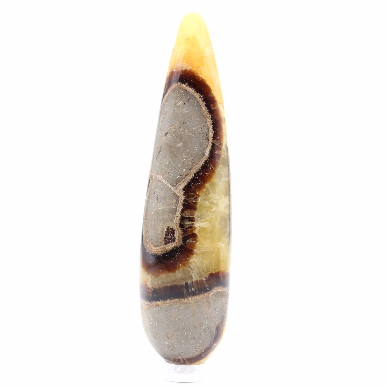 Pierre de Septaria baton