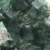 Cristaux cubiques de fluorite sur gangue - 9