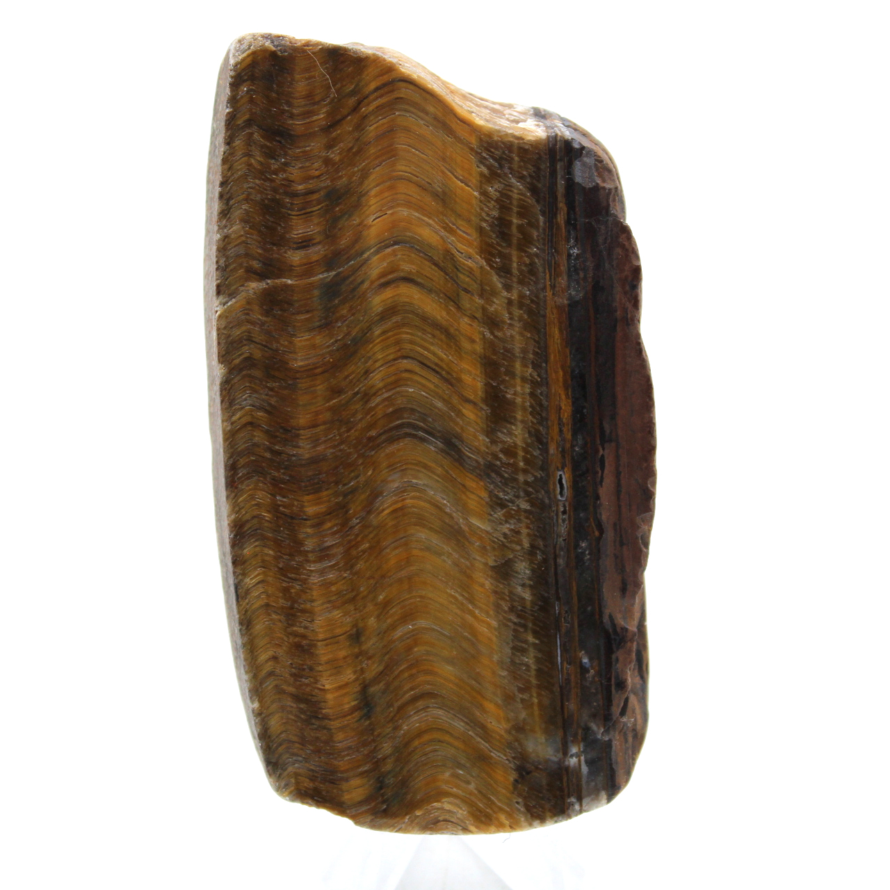 Oeil de tigre naturel