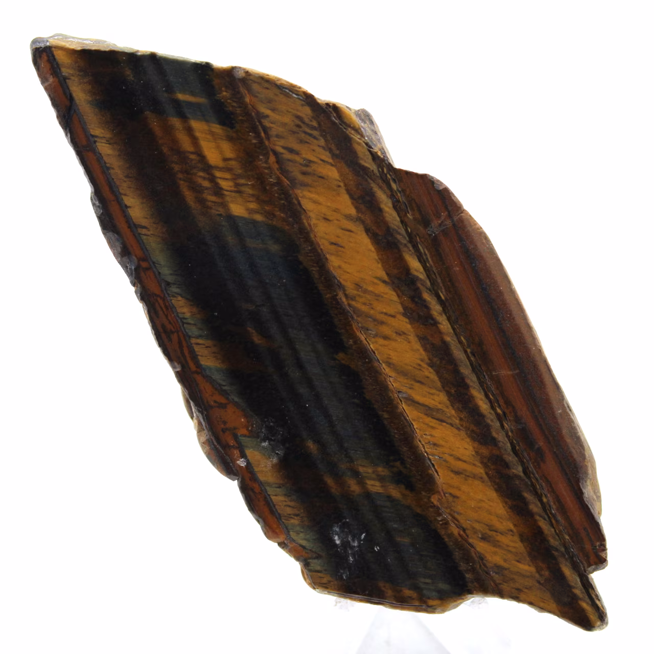 Oeil de tigre d’afrique du sud