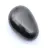 Shungite galet