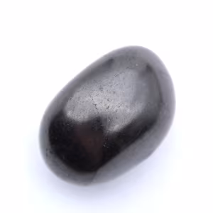 Galet de shungite