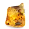 Ambre - 1