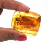 Ambre jaune - 0