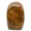 Jaspe polie forme polie - 0