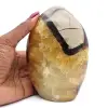 Septaria polie de madagascar - 0
