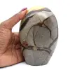 Septaria polie - 0