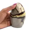 Septaria polie - 0