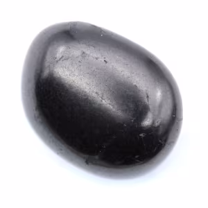 Galet shungite