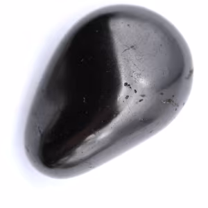 Galet en shungite