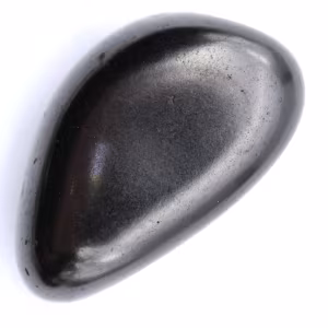 Galet en shungite