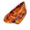 Ambre fossile - 0