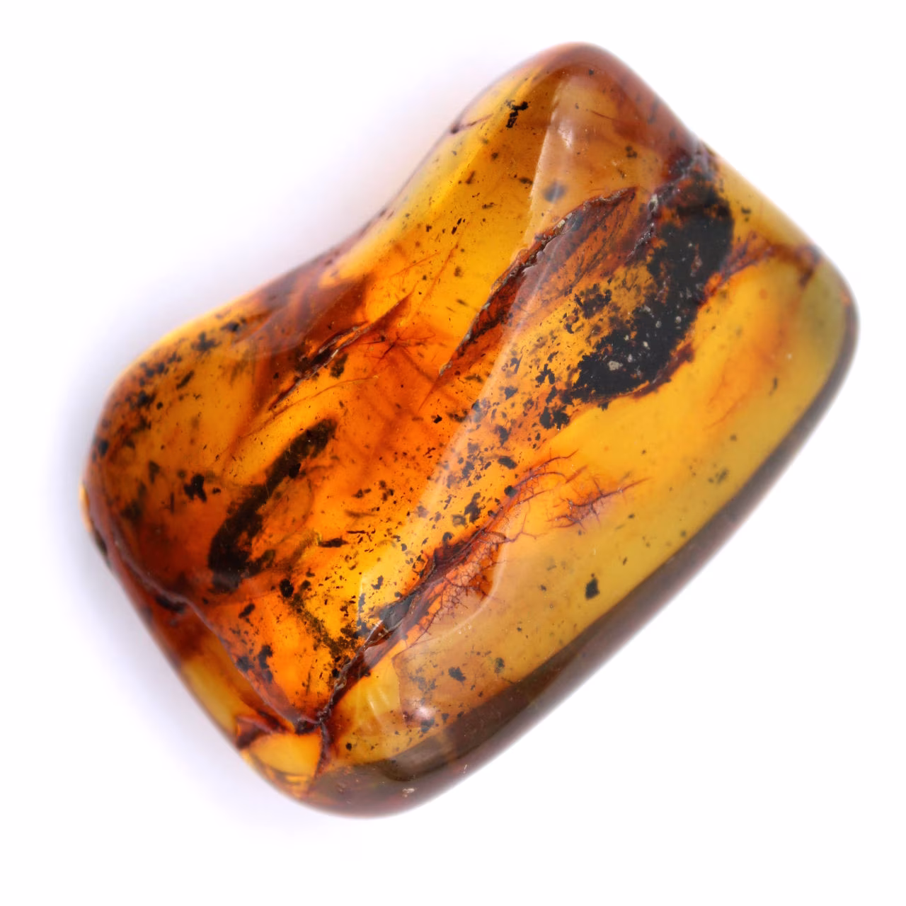 Spécimen d'ambre fossile
