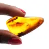 Ambre foncée - 3