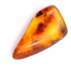 Ambre foncée