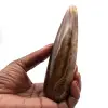 Bâton en calcite - 2