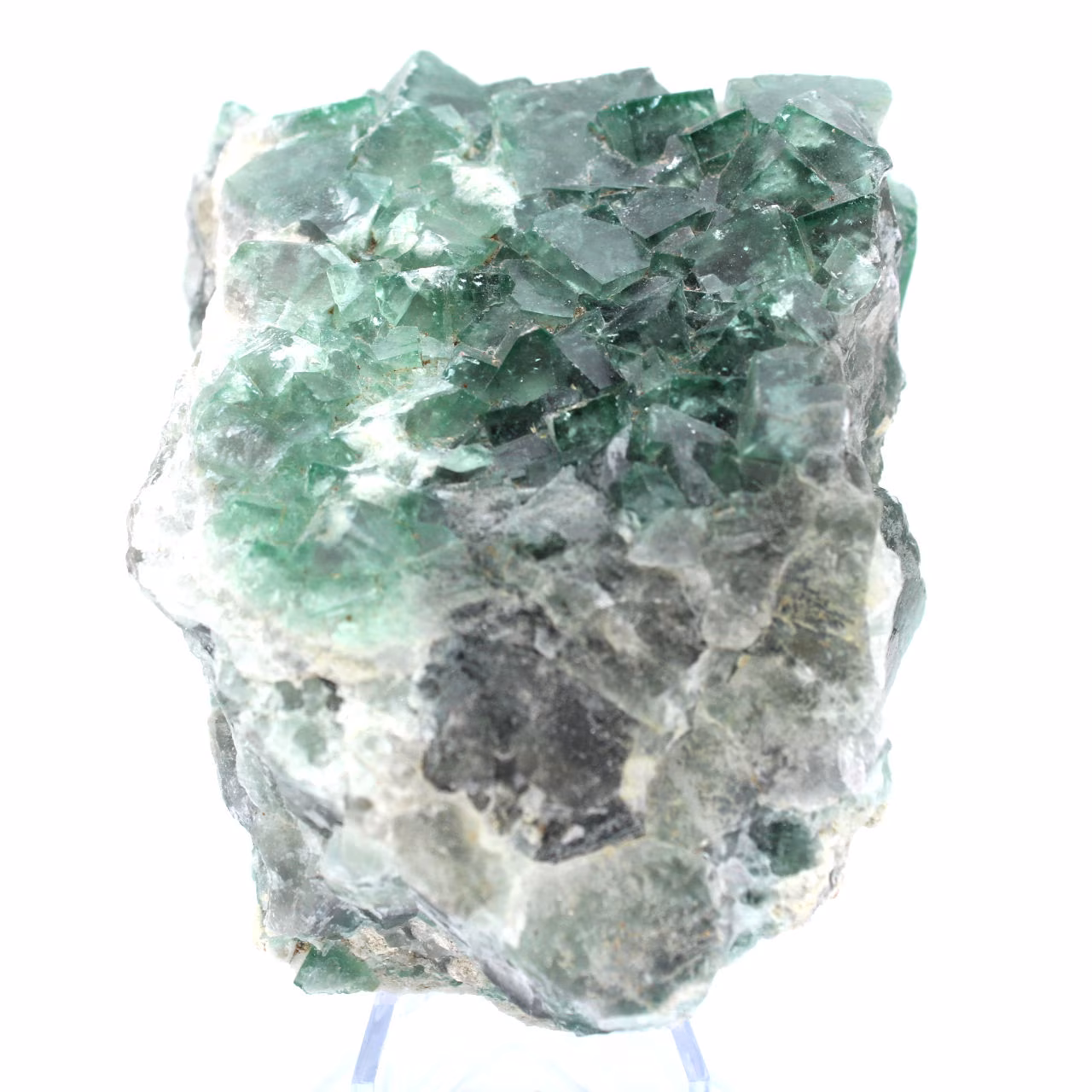 Cristaux cubiques de fluorite sur gangue