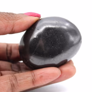 Shungite pour collection