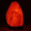 Sel rose de l’Himalaya lampe - 1