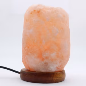 Bloc lampe USB de sel rose