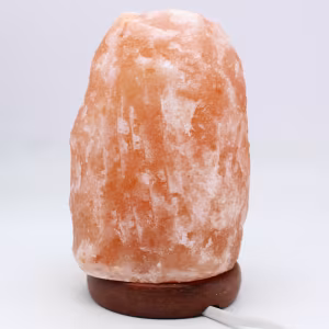 Lampe en Sel rose de l’Himalaya