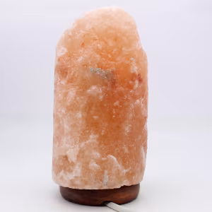 Lampe en Sel rose de l’Himalaya