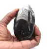 Orthocéras - 0