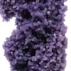 Calcédoine grappe de raisin - 11