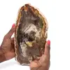 Bois fossilisé polis de Madagascar - 0