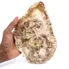 Bois silicifié polis de Madagascar - 0