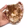 Tranche de bois silicifié de Madagascar