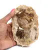 Bois silicifié polis de Madagascar - 0