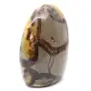 Septaria pour collection de Madagascar - 5