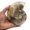 Ammonite polie entière de Madagascar - 0
