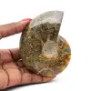 Ammonite polie entière de Madagascar - 0