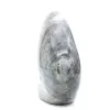 Forme libre de Spectrolite polie - 3