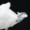 Quartz de l’Himalaya - 5
