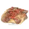 Vanadinite rouge cristal - 1