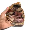 Bois fossilisé naturel - 0