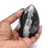 Fossile d’orthocéras du Maroc - 2